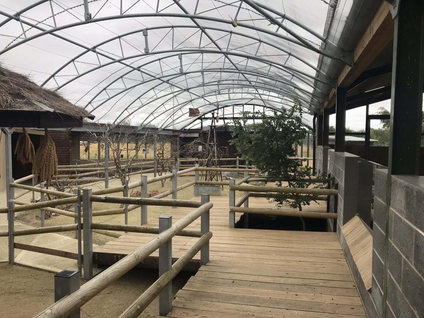 Australia House interior 100819