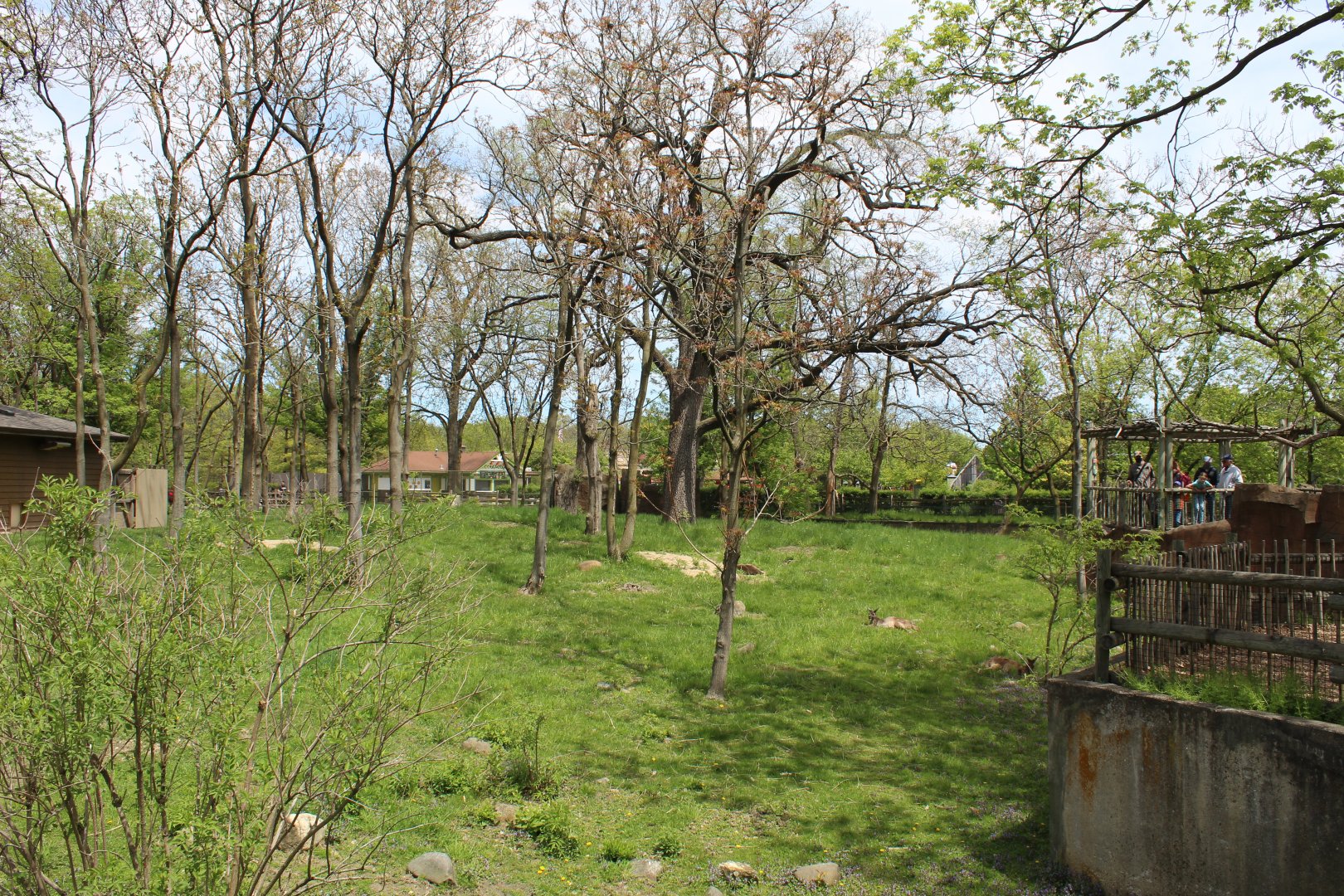 Australia House - Kangaroo and Emu Exhibit