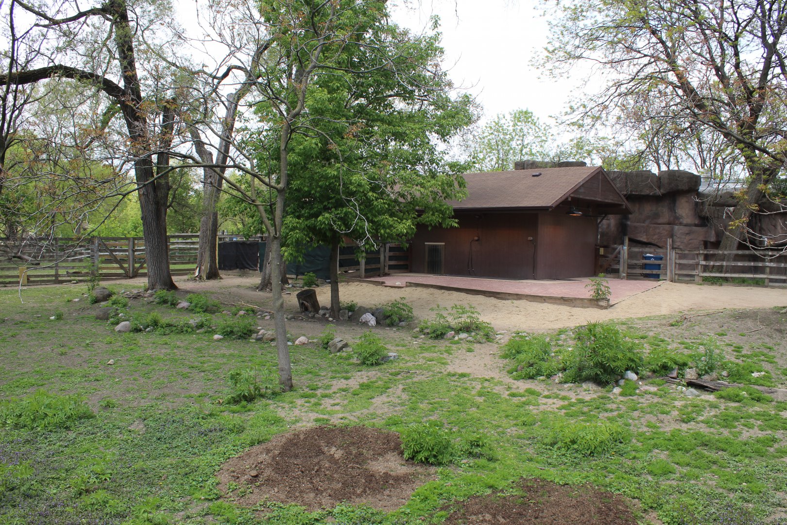 Australia House - Kangaroo Exhibit