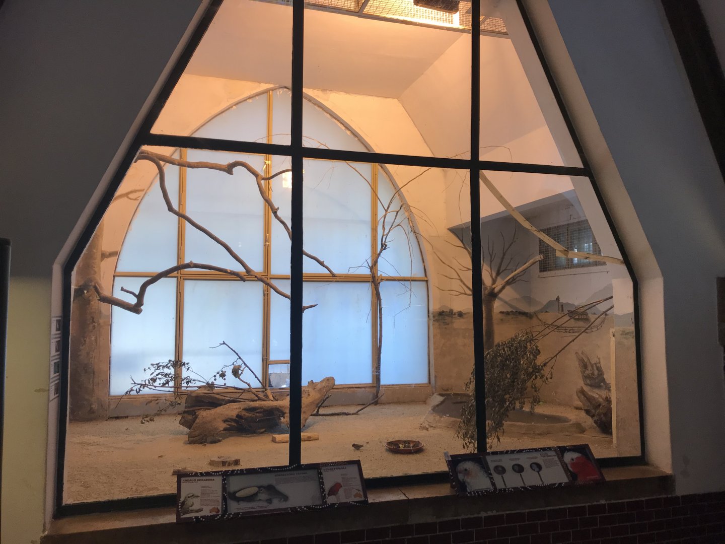 Australia House - Kookaburra and Eclectus parrot exhibit 171018