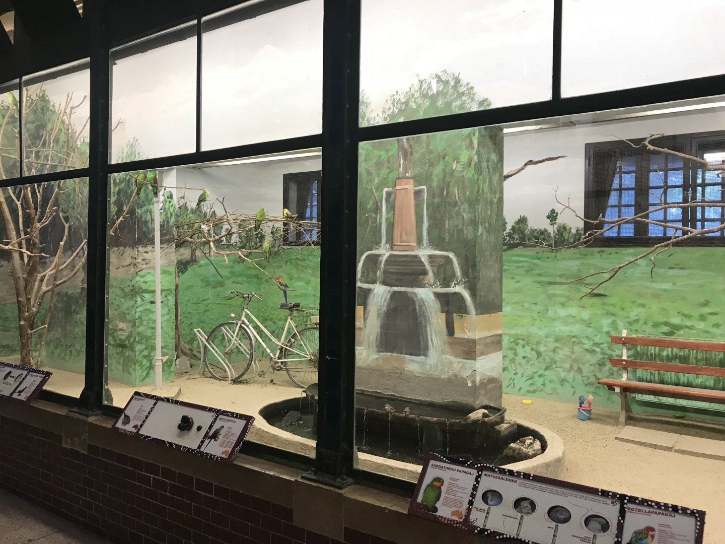 Australia House - parrot aviary 171018