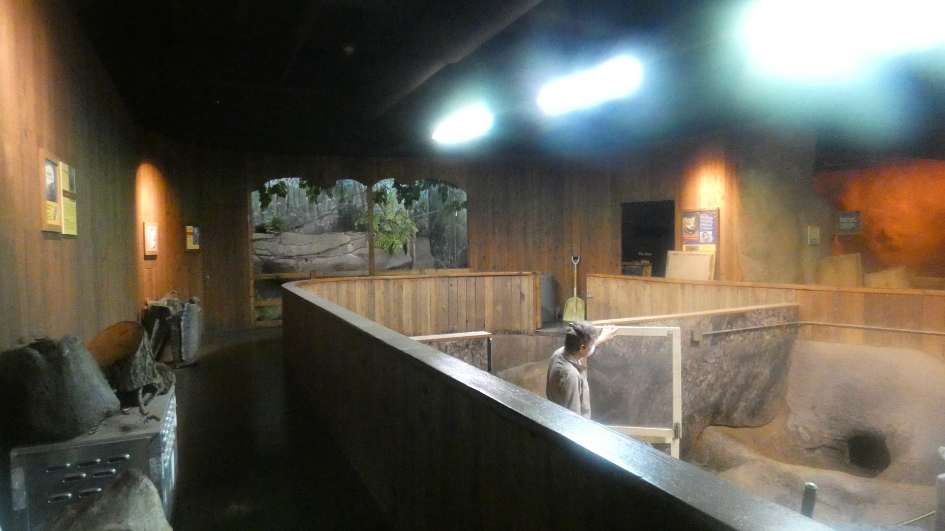 Australia House Renovations? - Nov. 2021