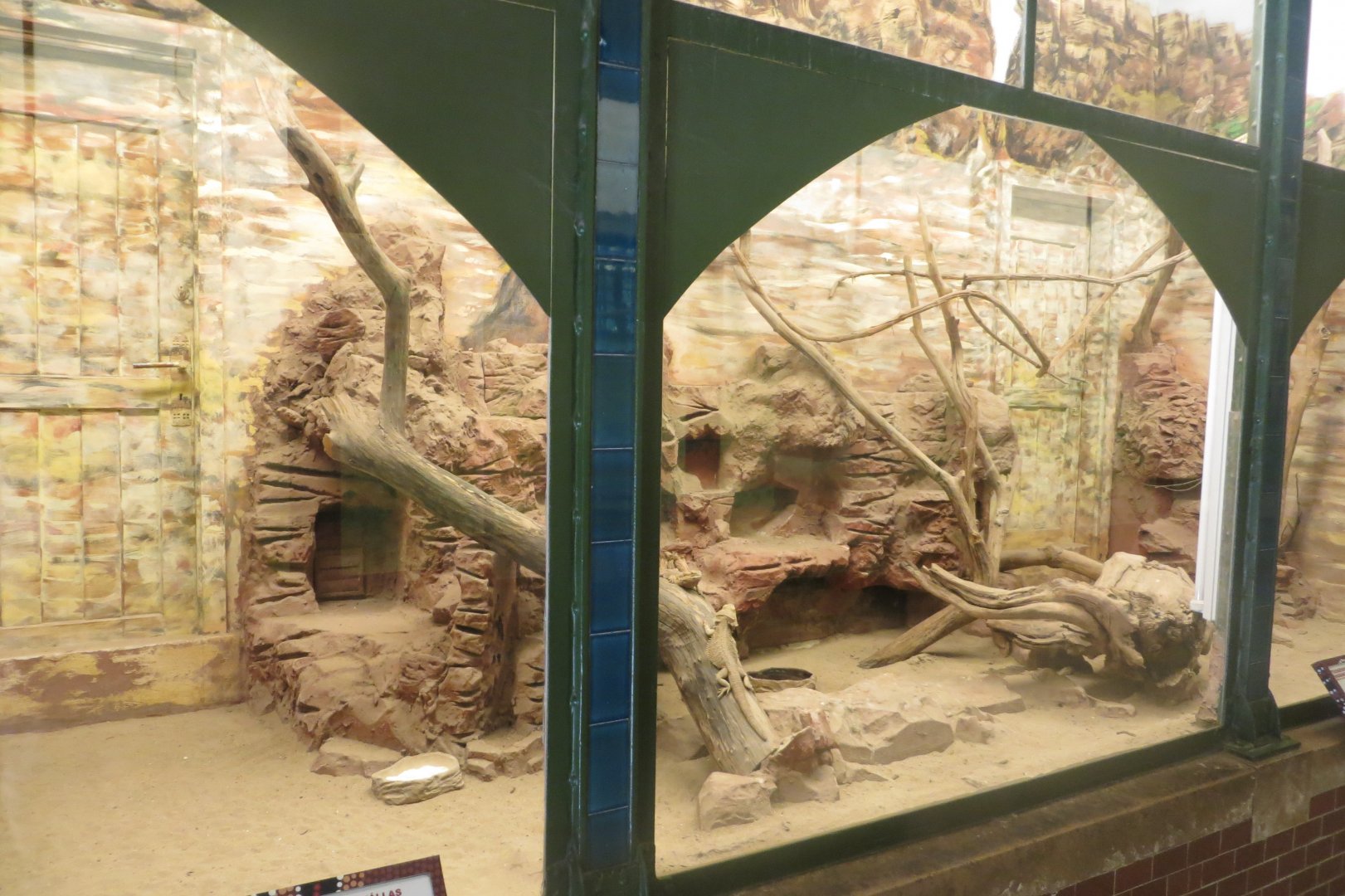 Australia House - reptile exhibit 171018