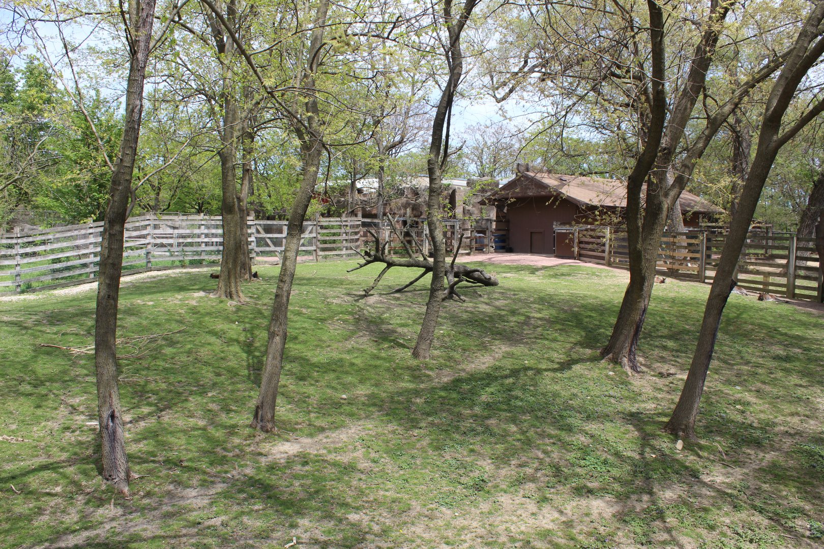 Australia House - Wallaby Exhibit