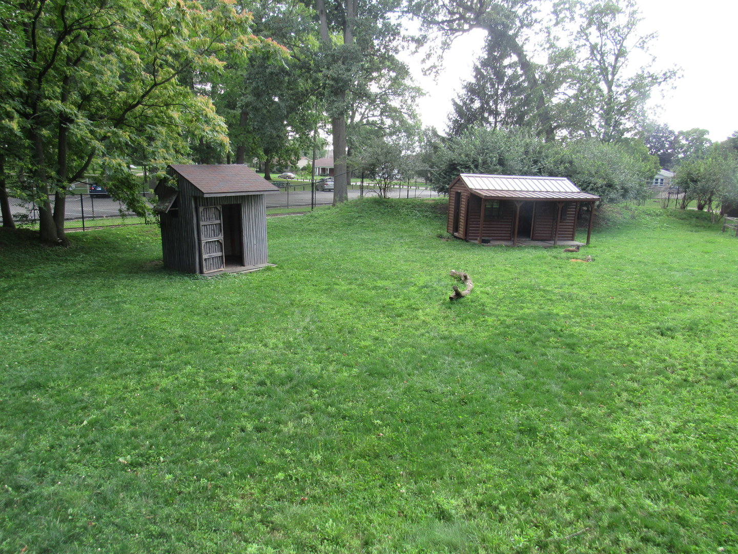 Australia - Kangaroo and Emu Yard