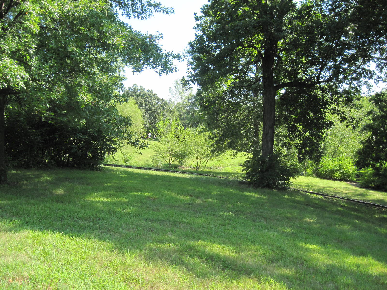 Australia-Kangaroo Yard