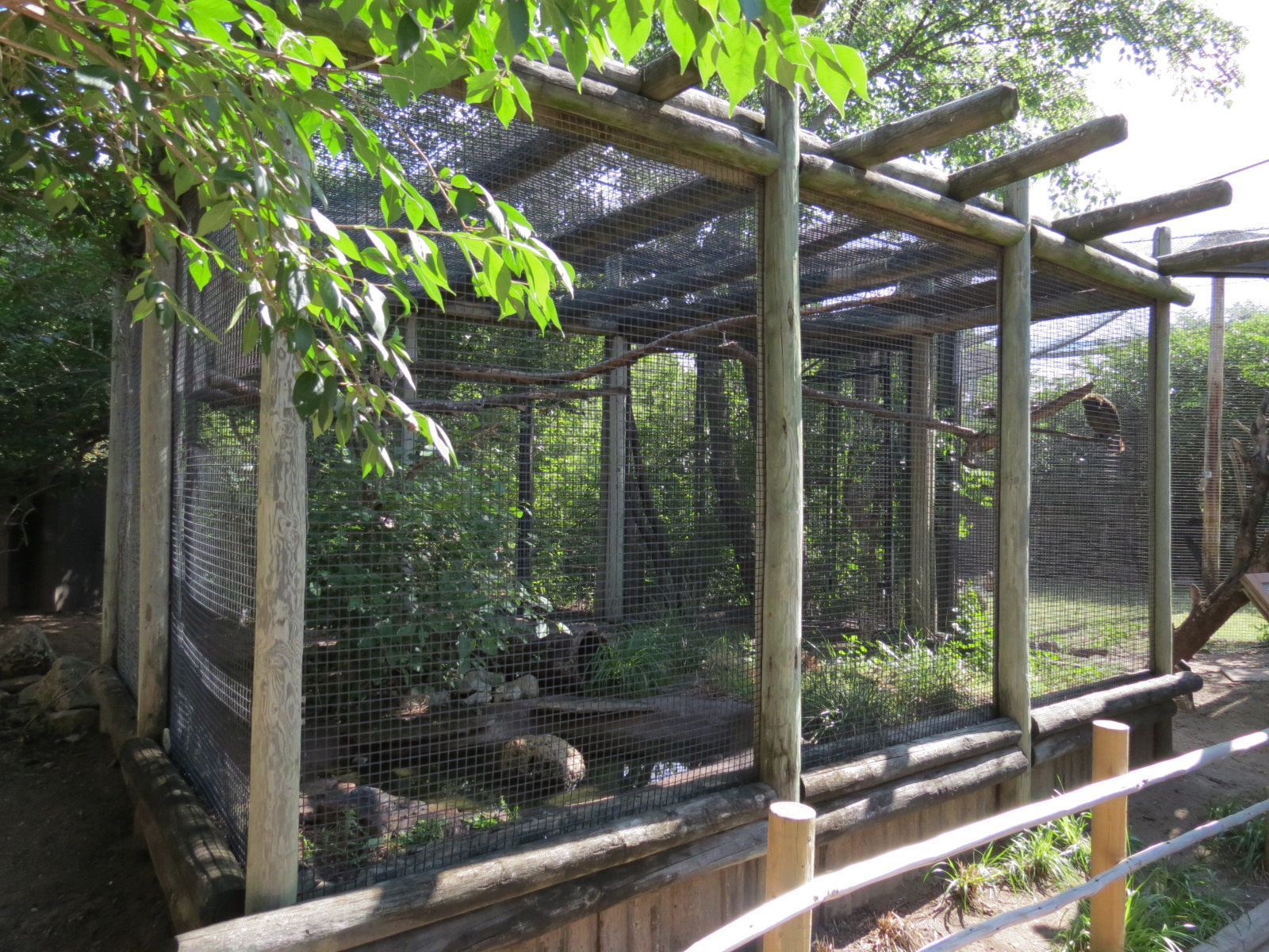 Australia - Kea Exhibit