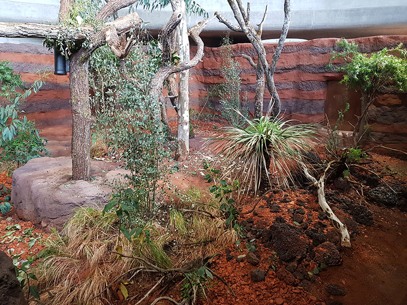 Australia: Koala enclosure ground features