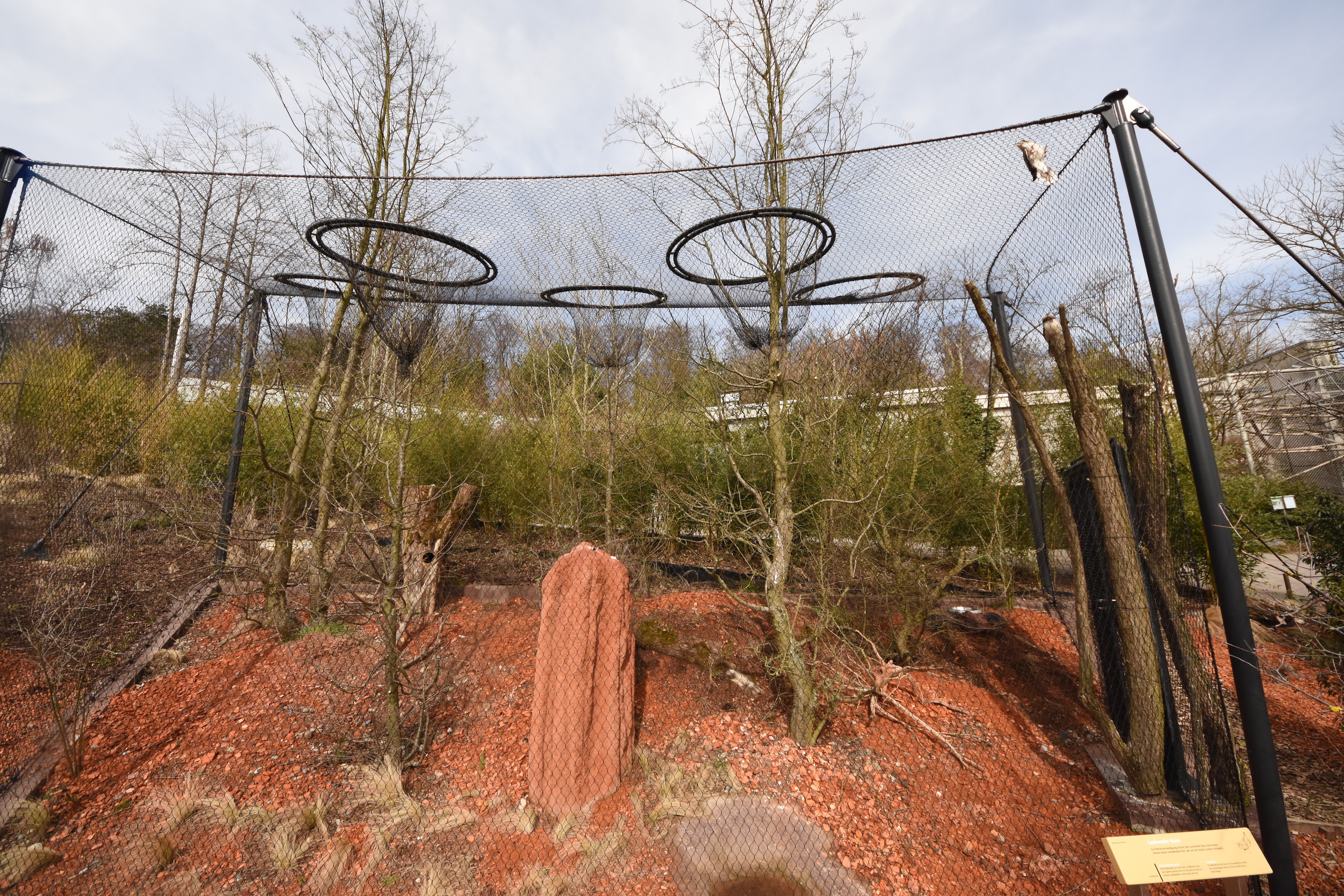 Australia - kookaburra aviary