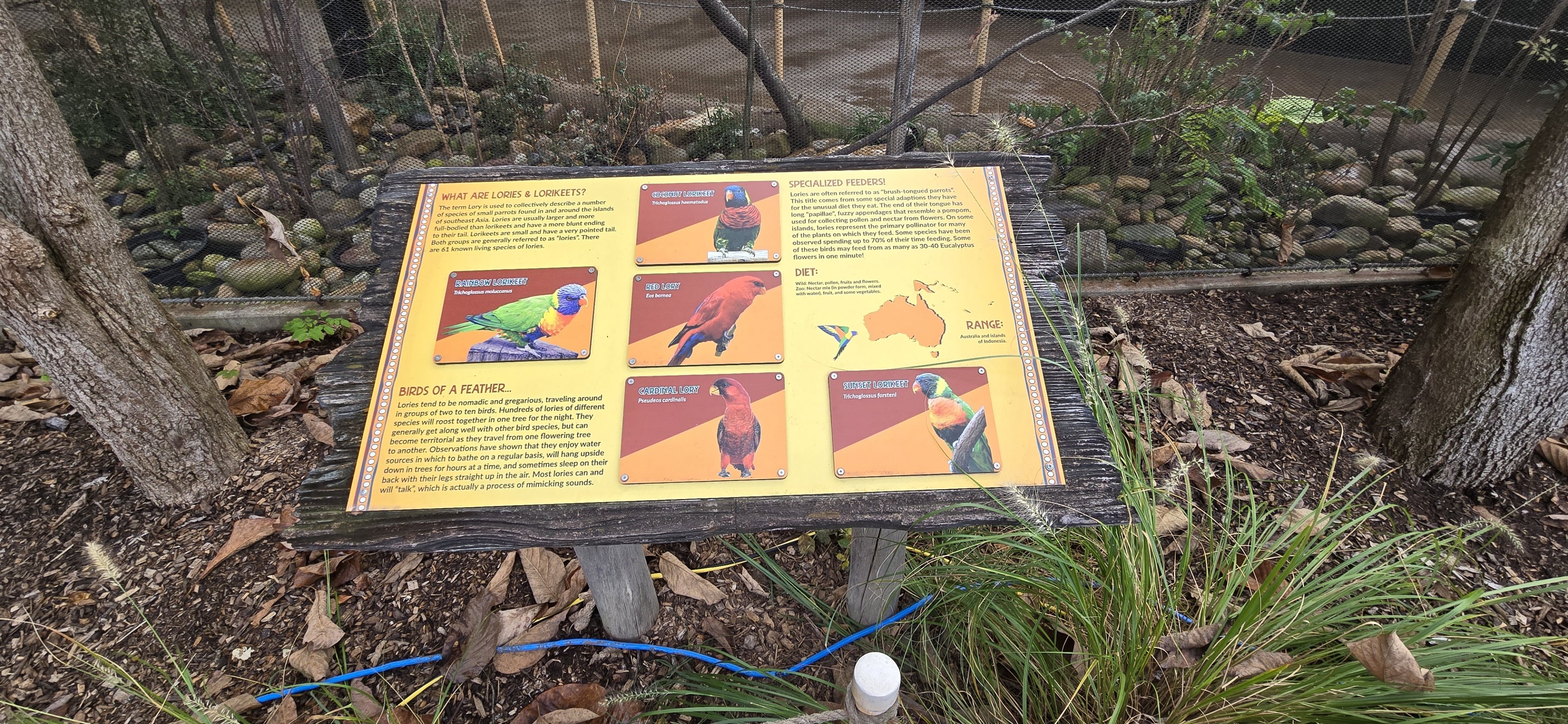 Australia - Lorikeet Landing sign