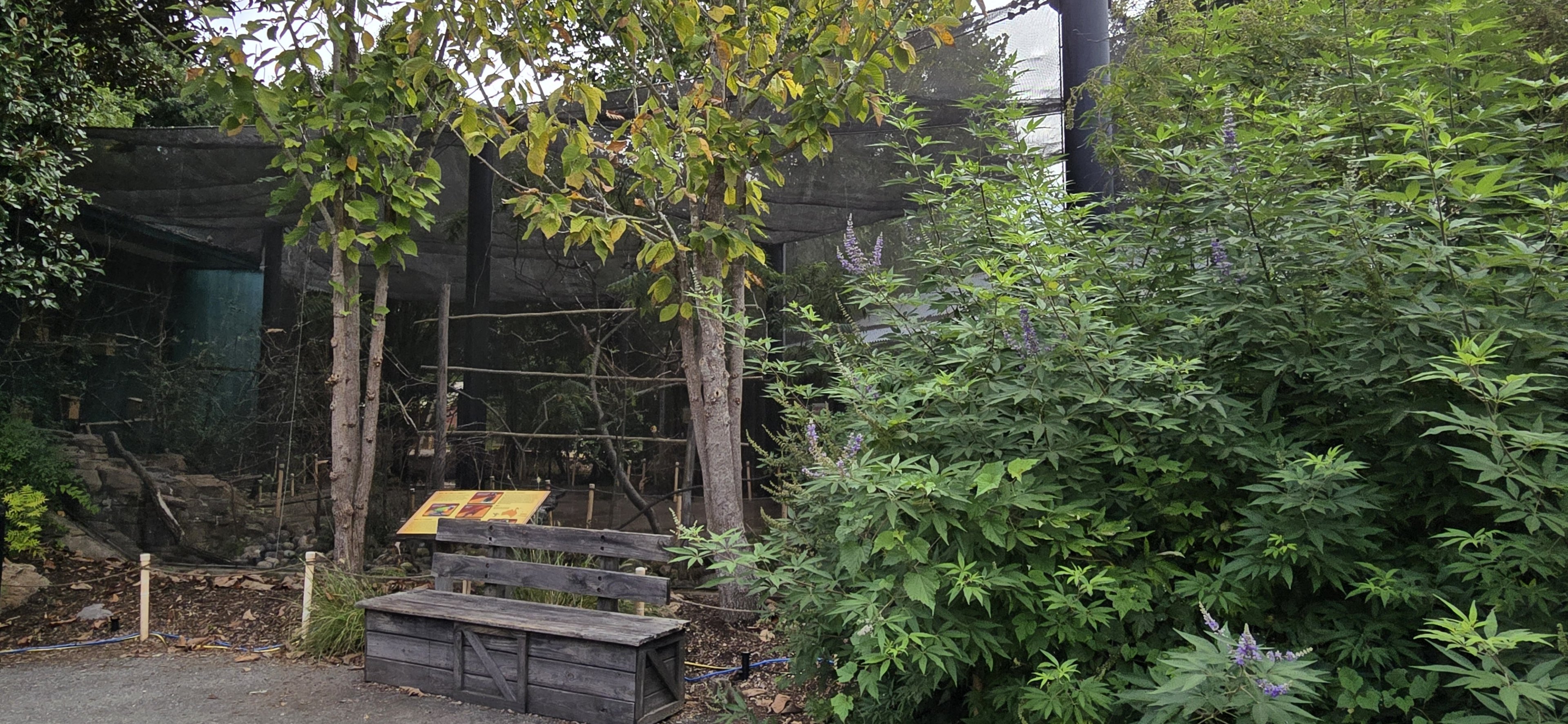 Australia - Lorikeet Landing