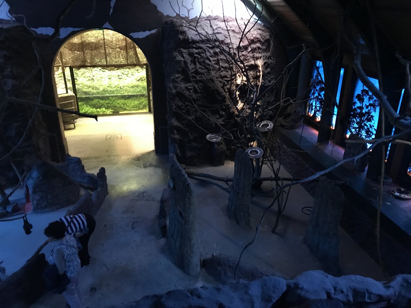 Australia Nightlife walkthrough 171018