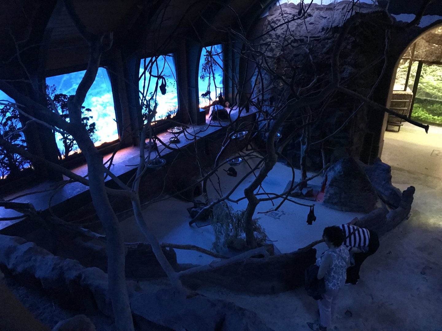 Australia Nightlife walkthrough 171018