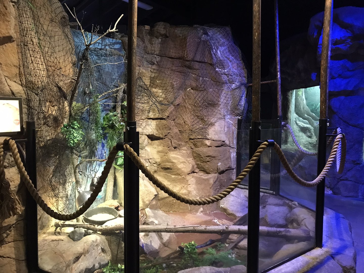 Australia & Oceania - Golden Coin Turtle Exhibit