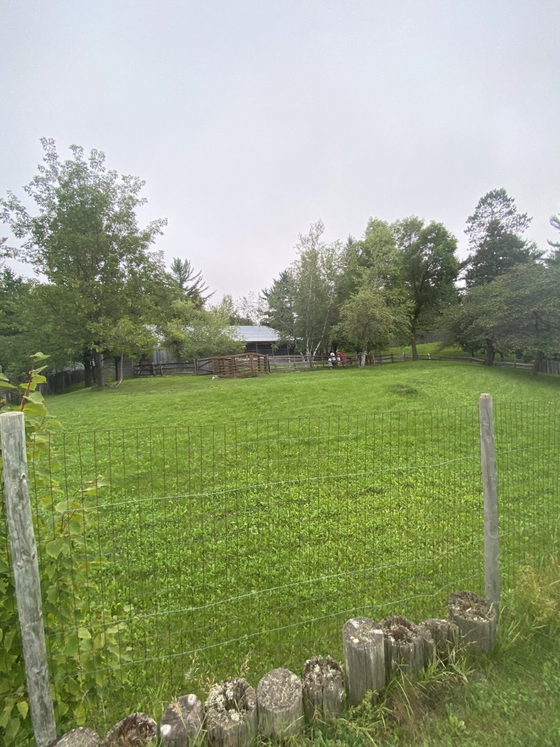 Australia & Oceania- left half of red kangaroo & Bennetts wallaby exhibit