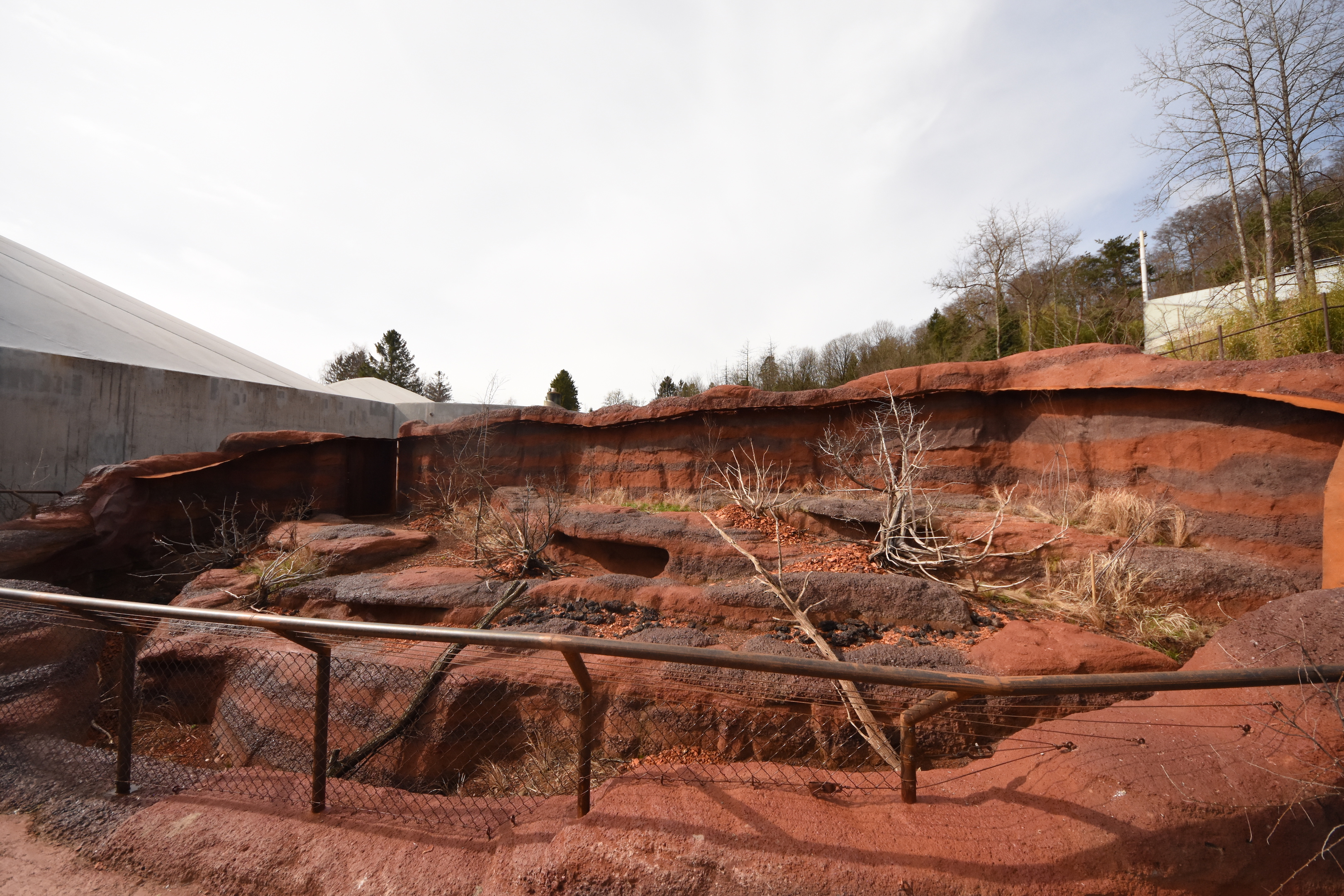 Australia - Perentie outdoors