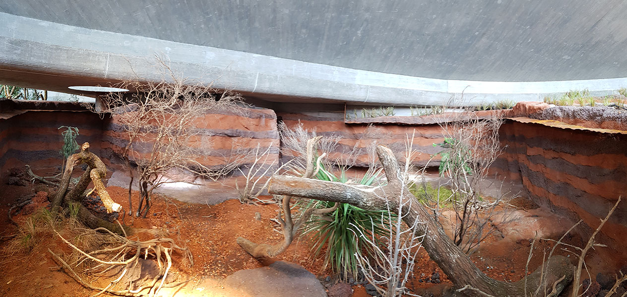 Australia: Perentie panorama