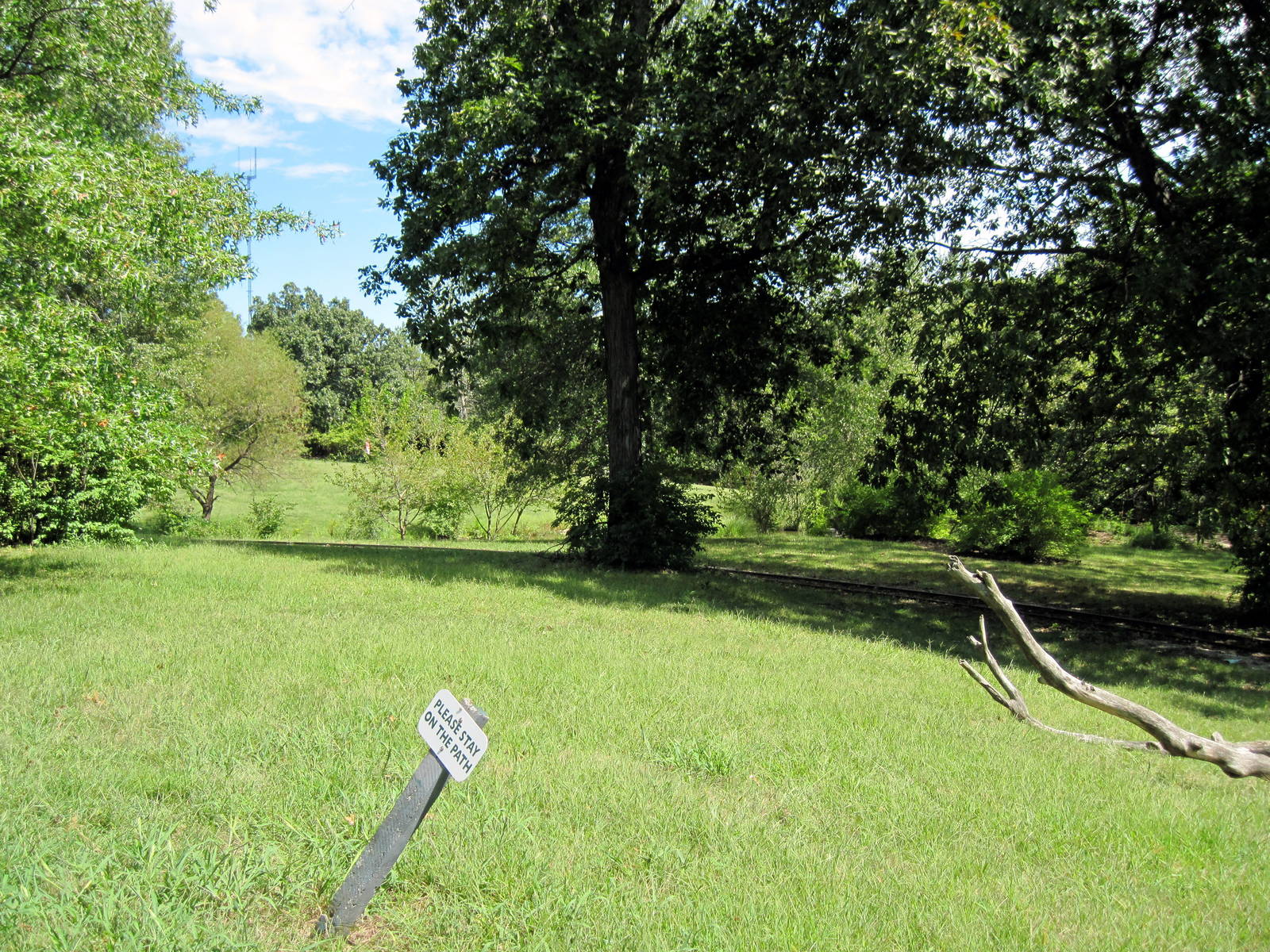 Australia-Red Kangaroo Exhibit