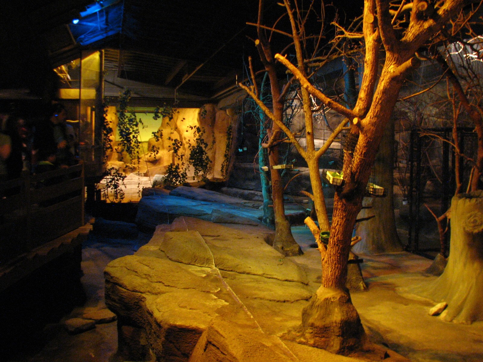 Australia - Rodrigues Fruit Bat Exhibit