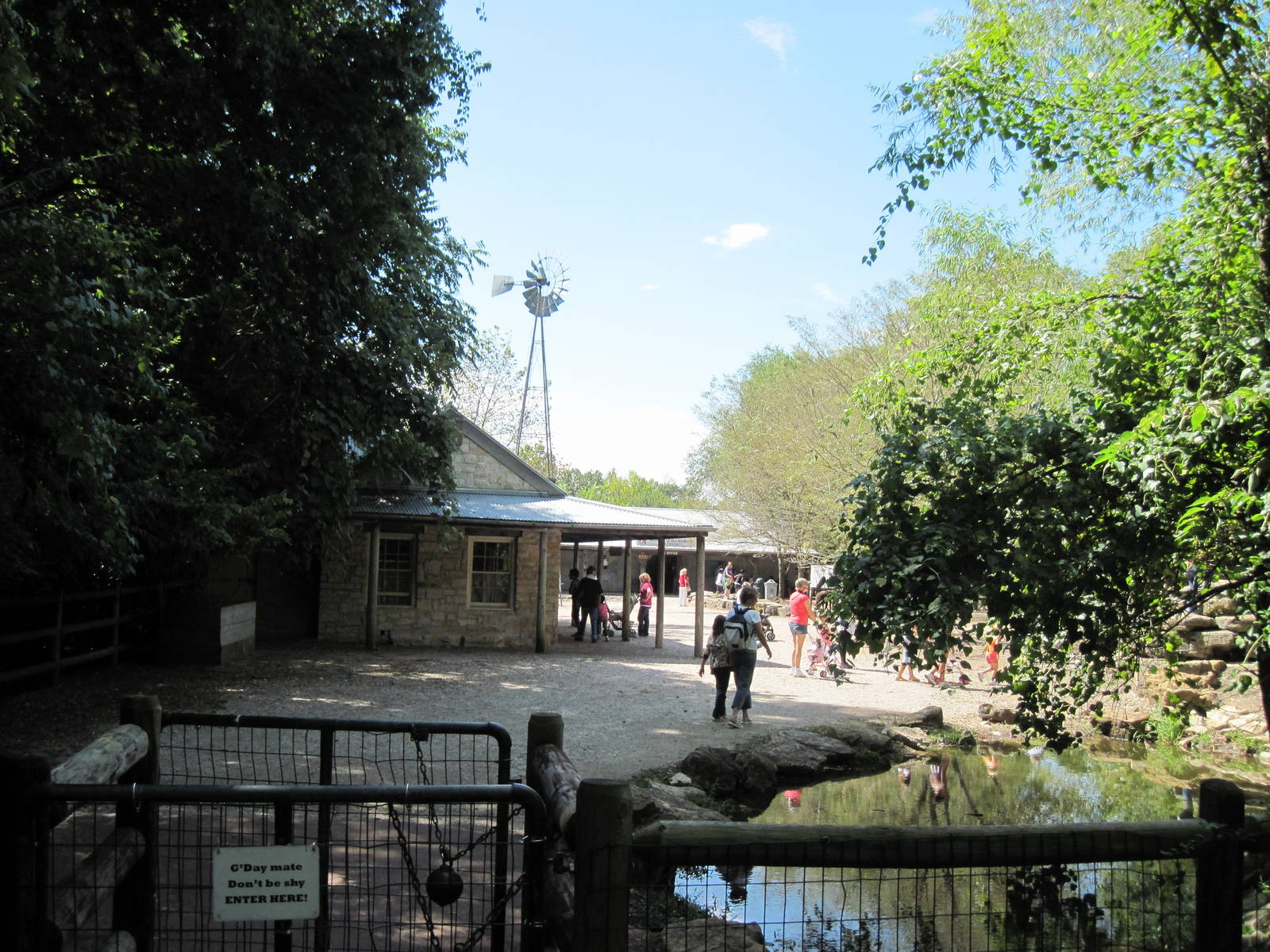 Australia-Sheep Farm
