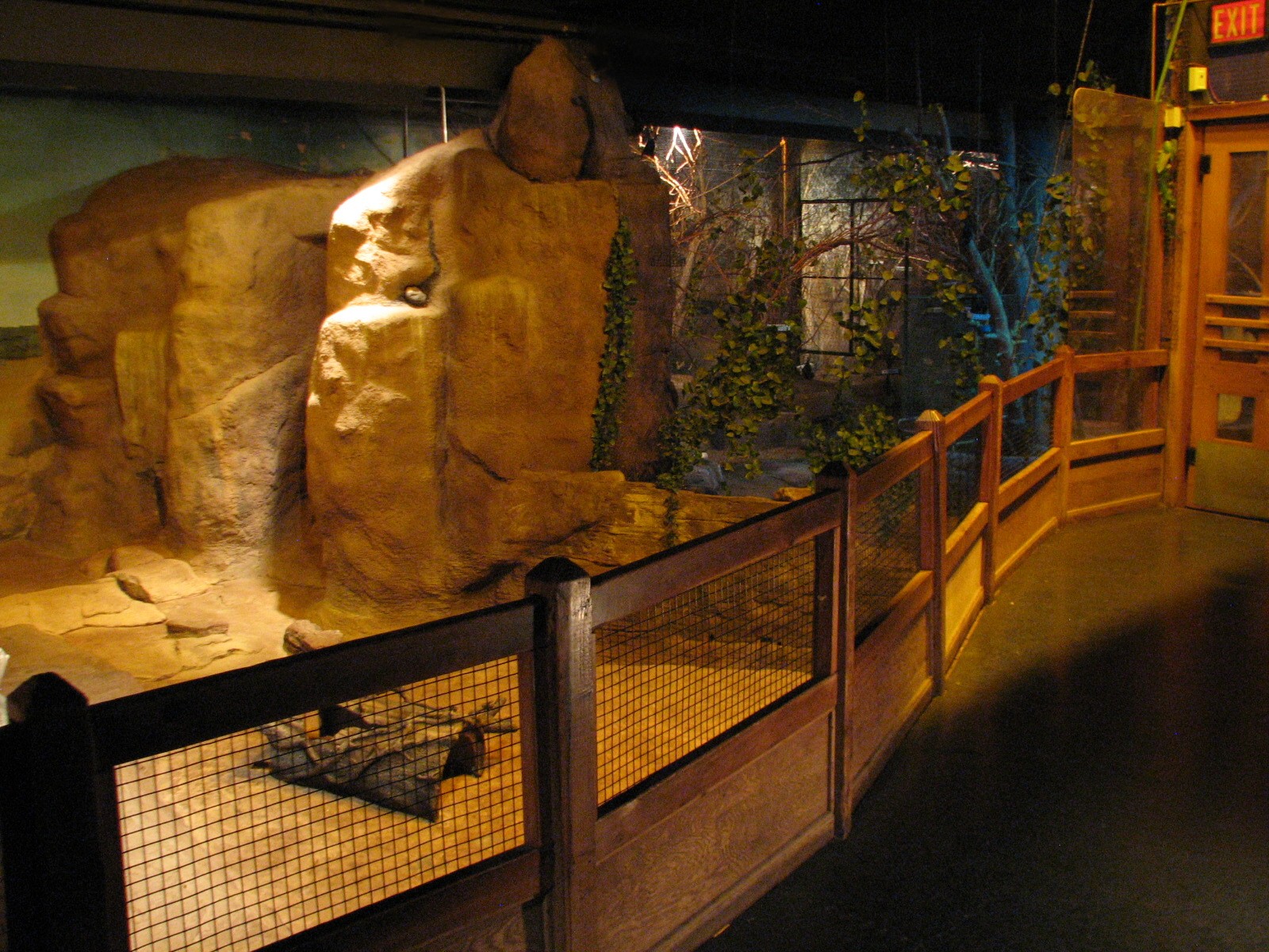 Australia - Southern hairy-nosed Wombat Exhibit 3