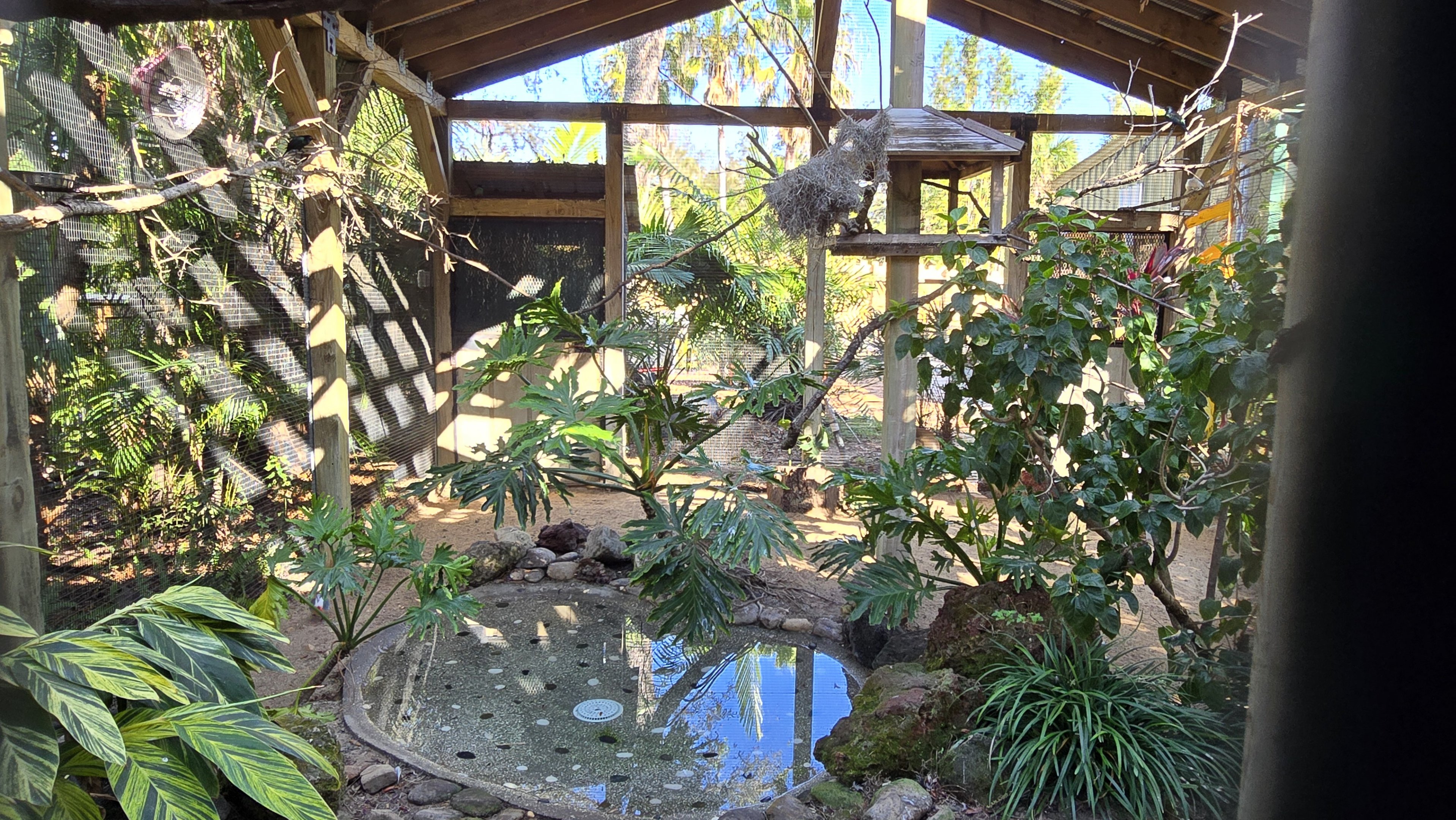 Australia - Straya's Bird Sanctuary