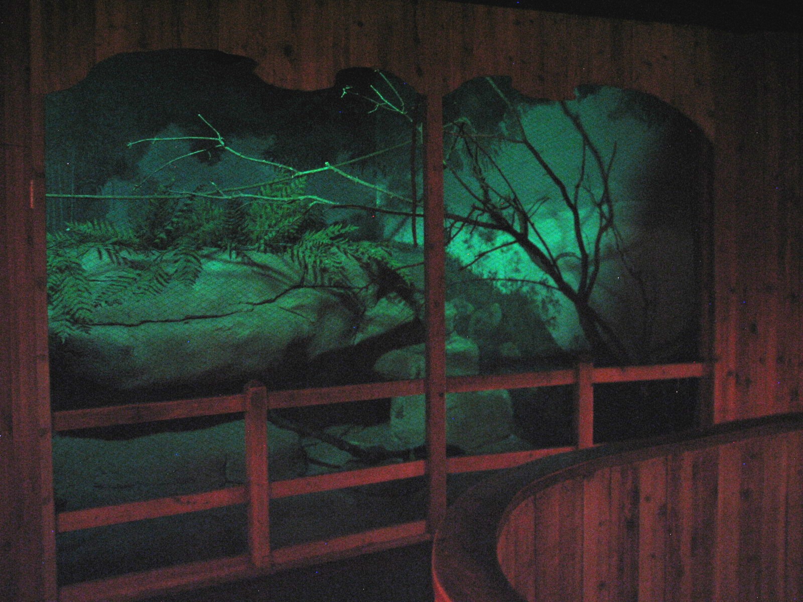 Australia - Tawny Frogmouth Exhibit