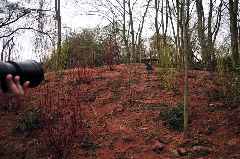 Australia! - The new themeworld at Hannover