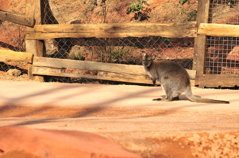 Australia! - The new themeworld at Hannover