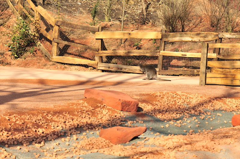 Australia! - The new themeworld at Hannover