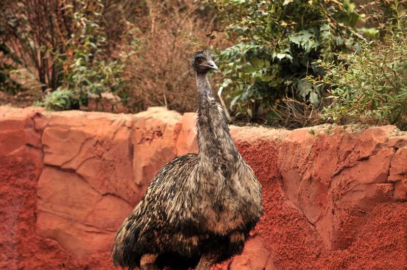 Australia! - The new themeworld at Hannover