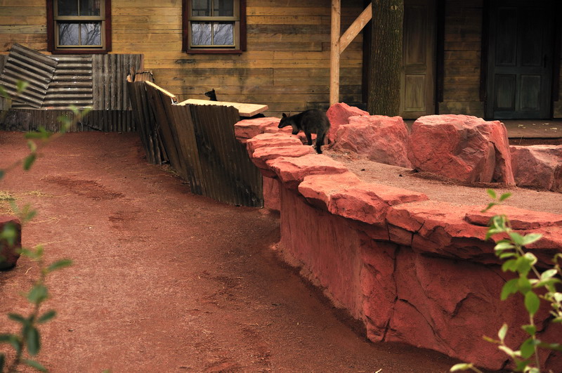 Australia! - The new themeworld at Hannover