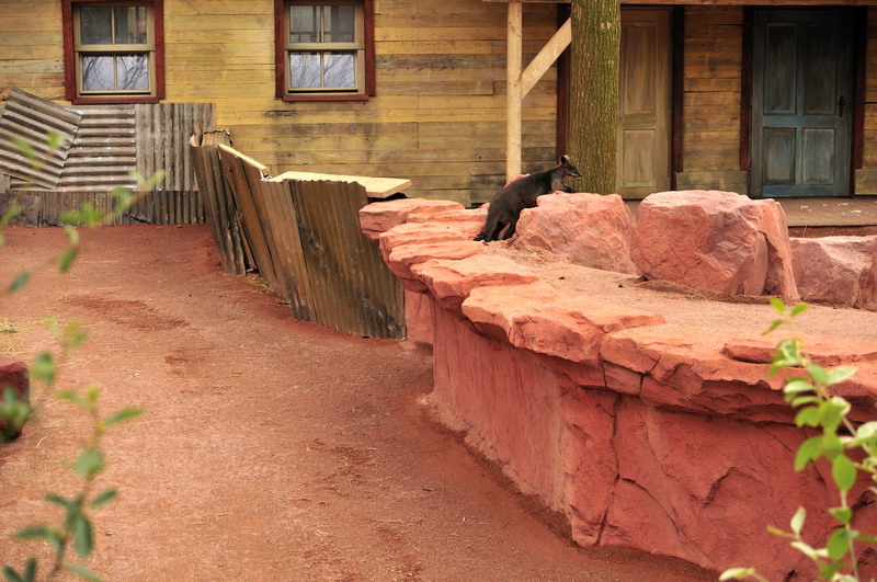 Australia! - The new themeworld at Hannover