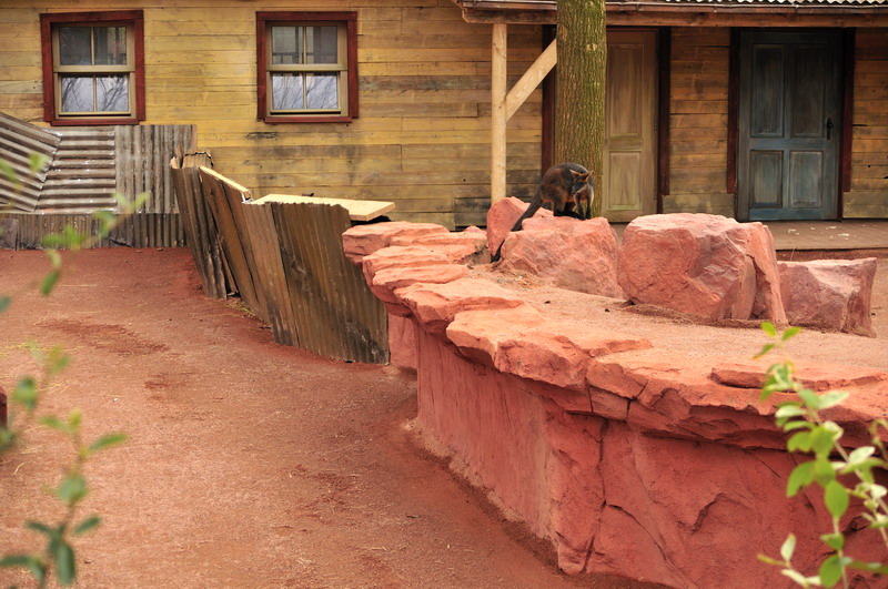 Australia! - The new themeworld at Hannover