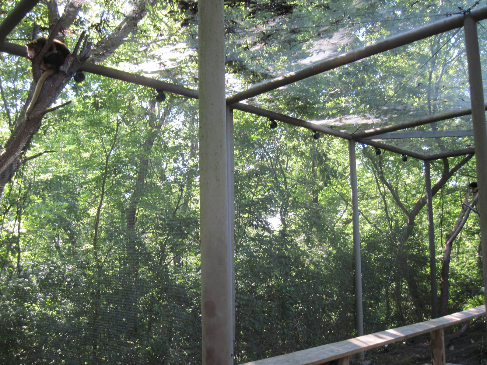 Australia-Tree Kangaroo Enclosure