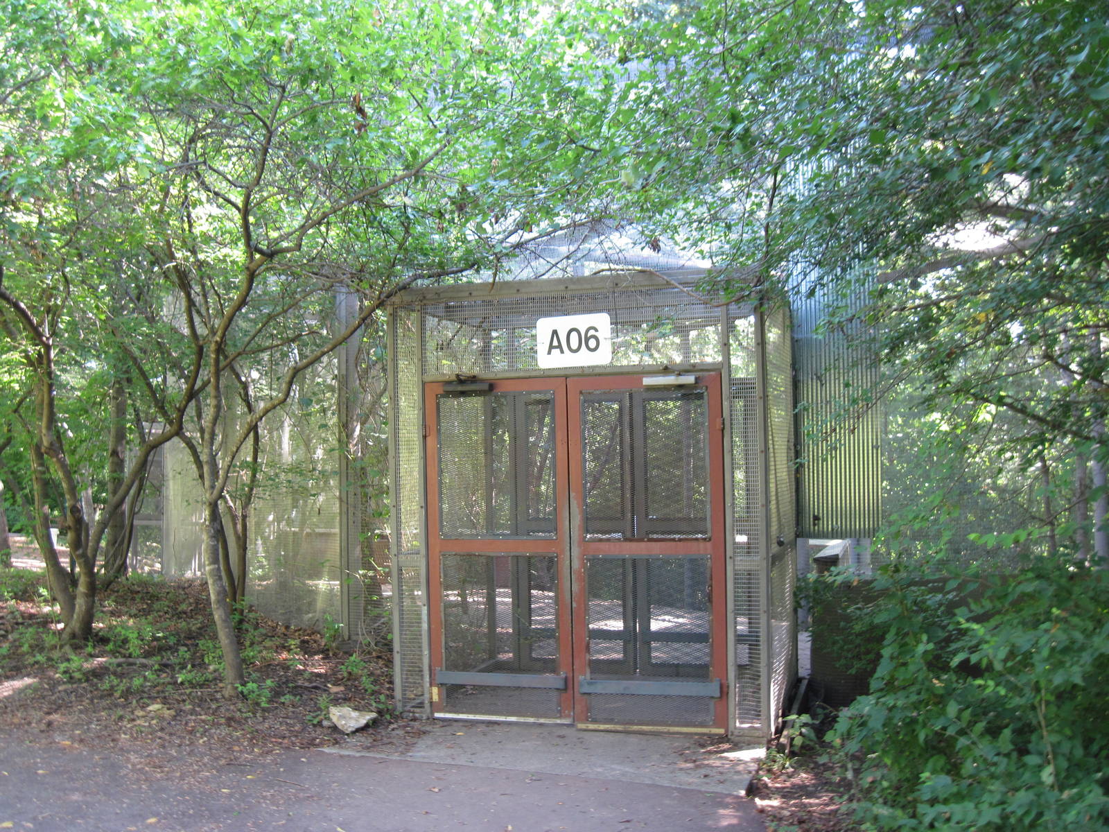 Australia-Tree Kangaroo Enclosure