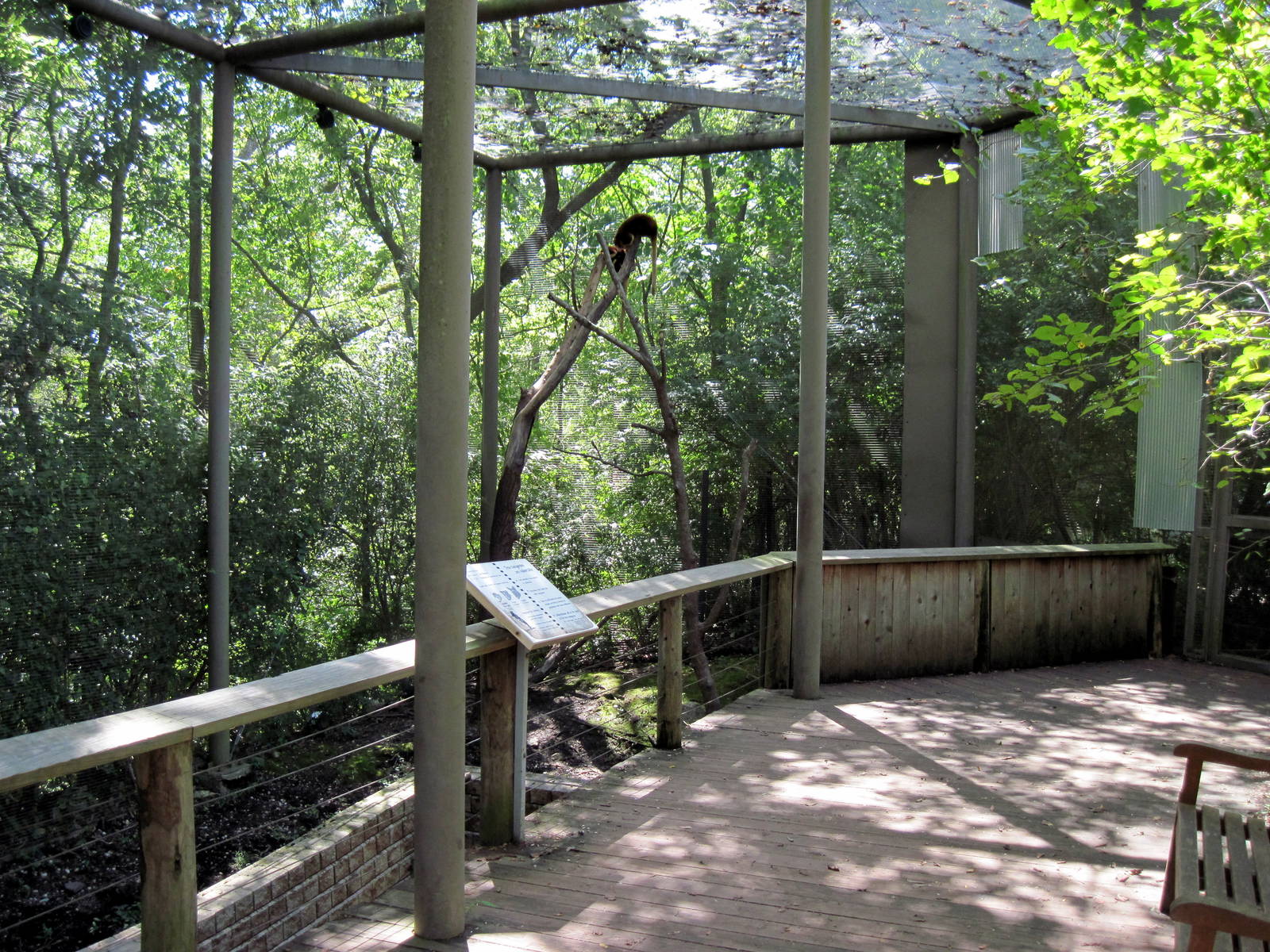 Australia-Tree Kangaroo Exhibit