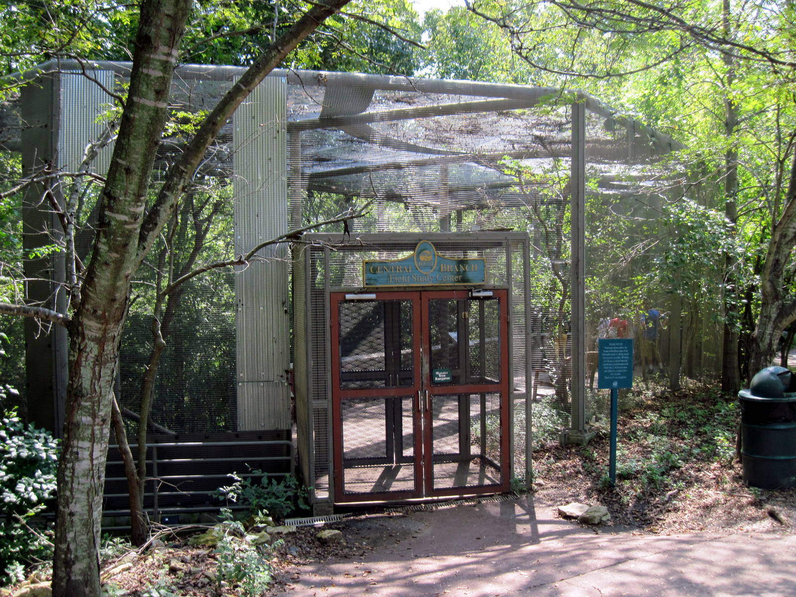 Australia-Tree Kangaroo Exhibit