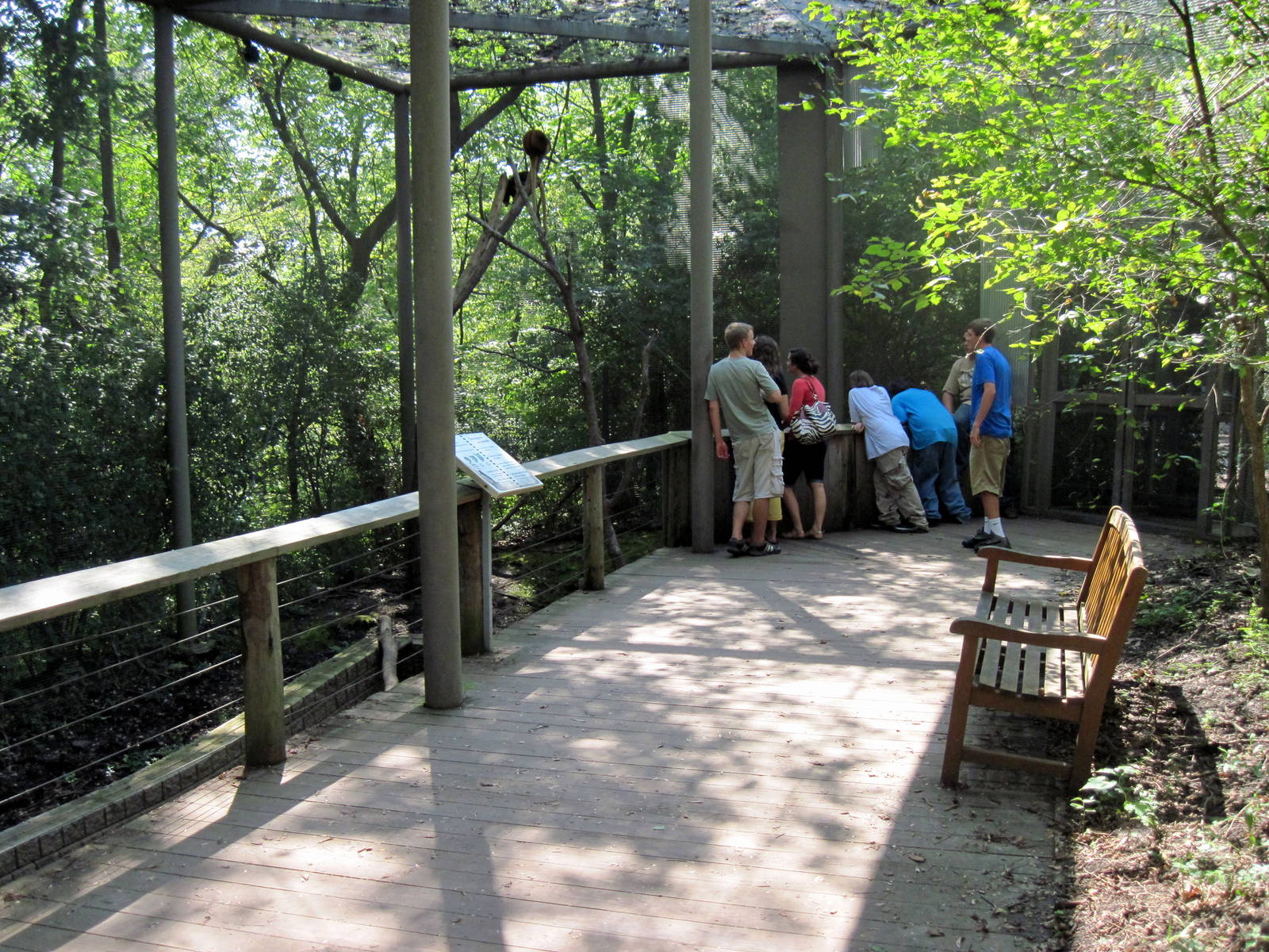 Australia-Tree Kangaroo Exhibit