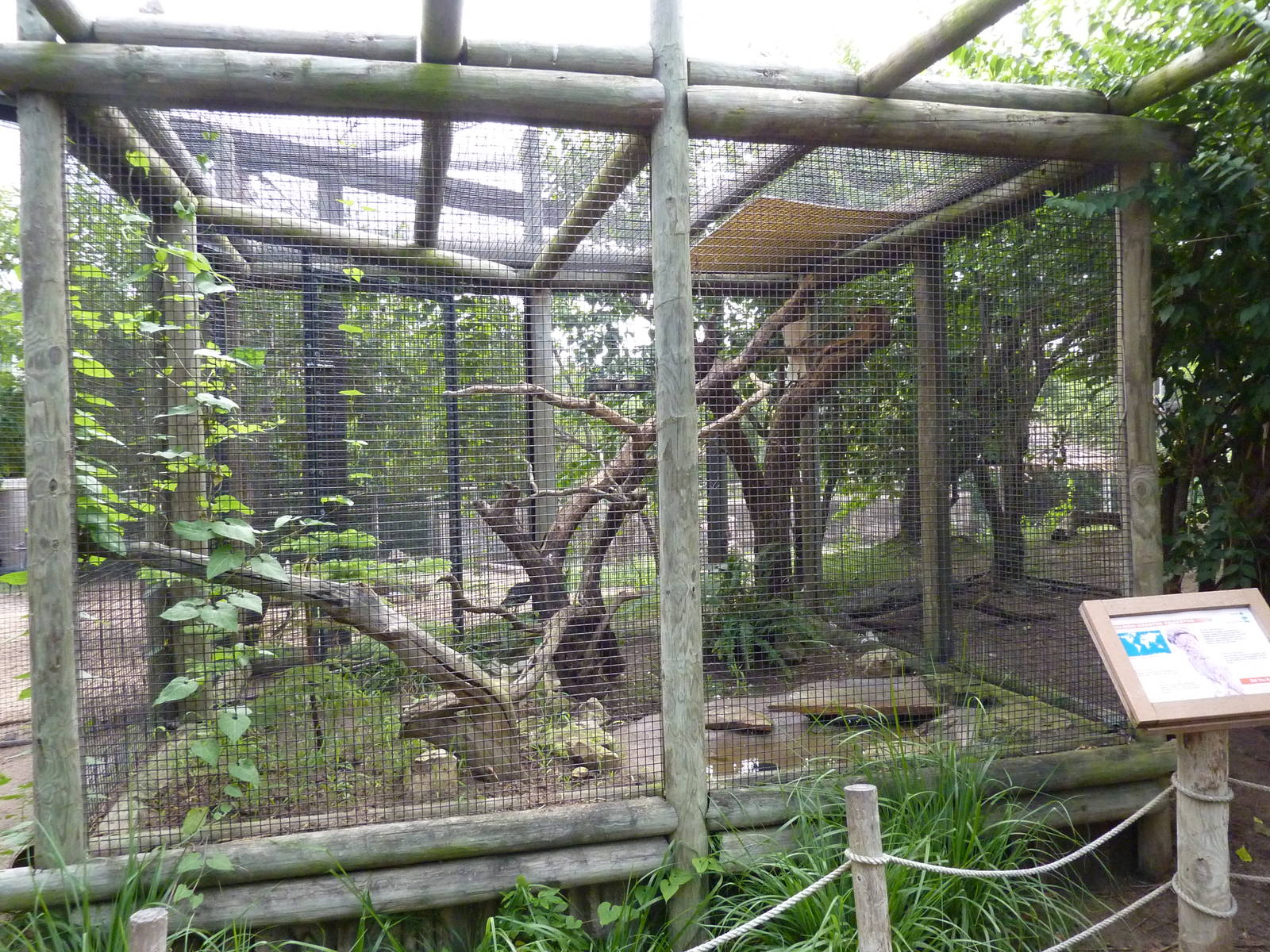 Australia - Walk-Through Aviary Enclosure