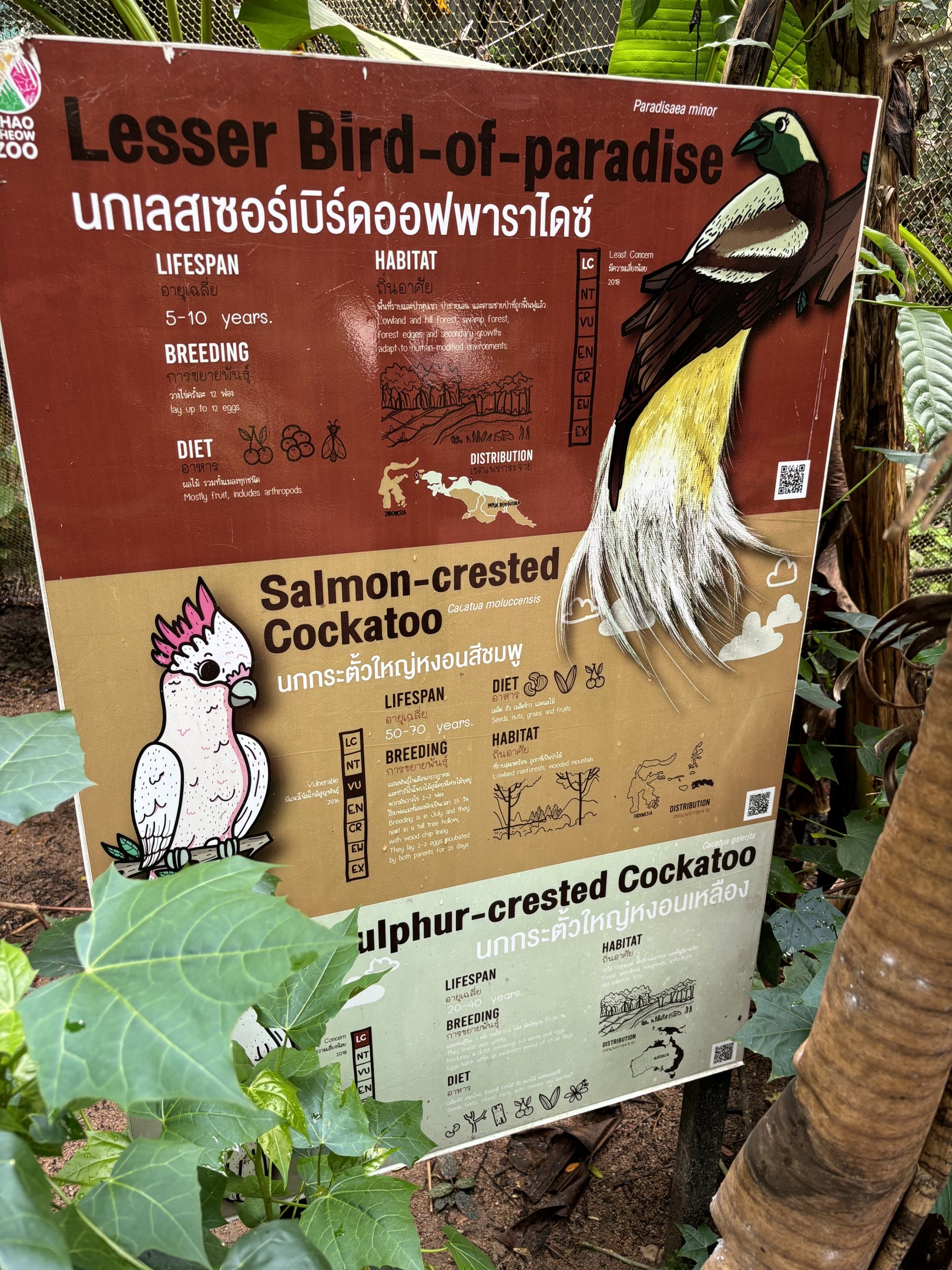 Australia Walk-through Aviary Sign