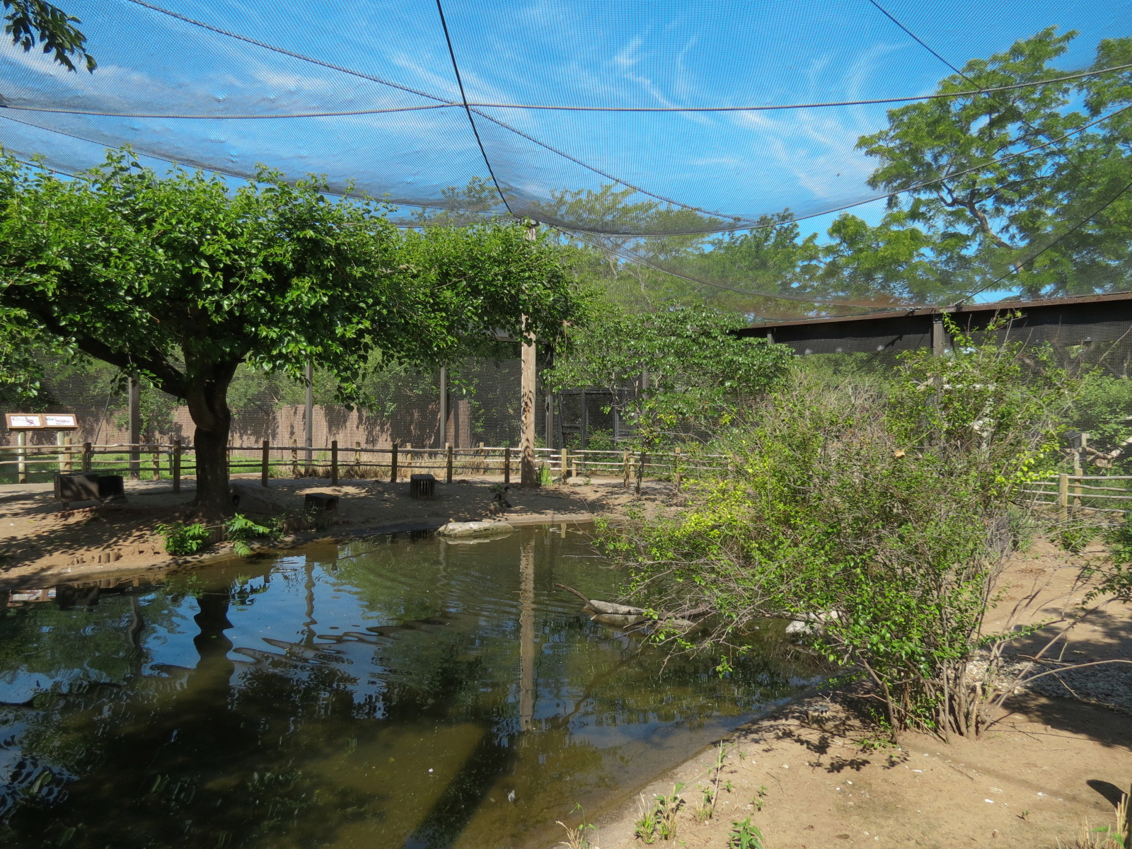 Australia - Walk-through Aviary Yard