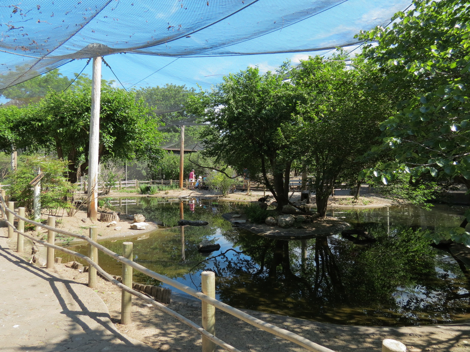 Australia - Walk-through Aviary Yard
