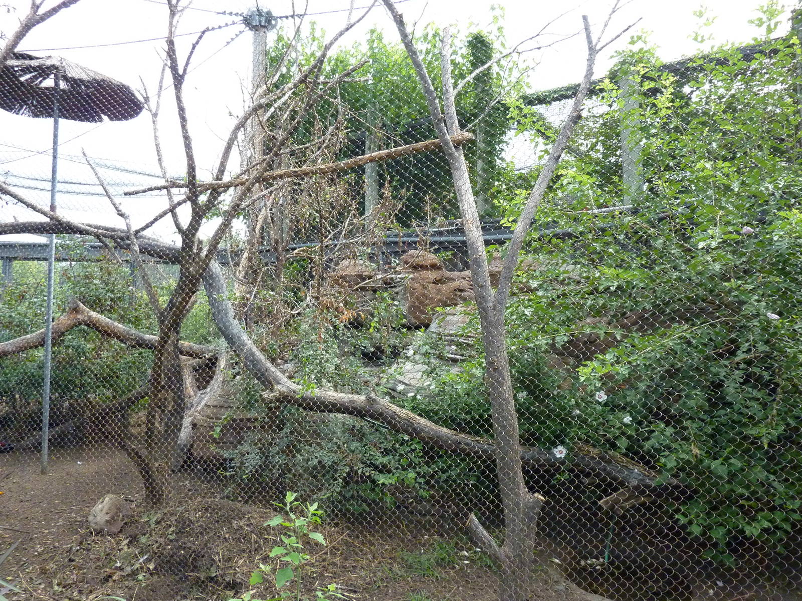 Australia - Walk-Through Aviary