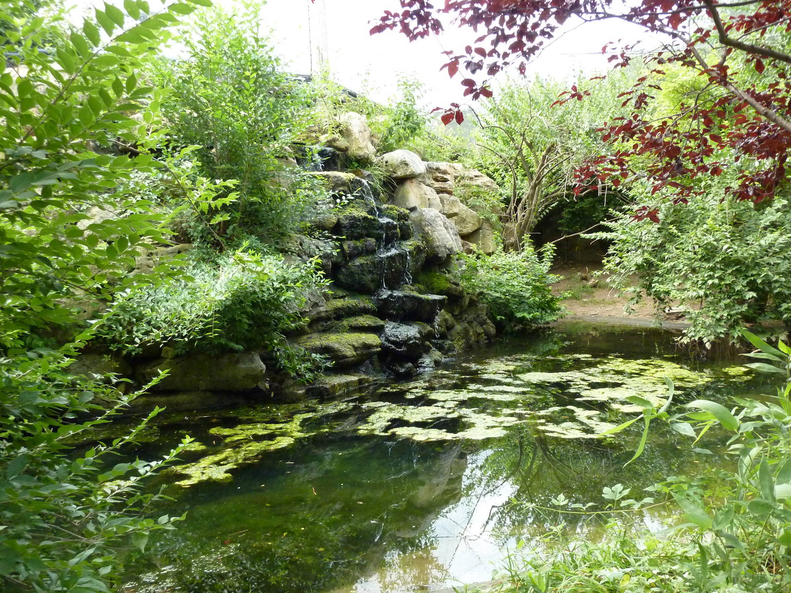 Australia - Walk-Through Aviary