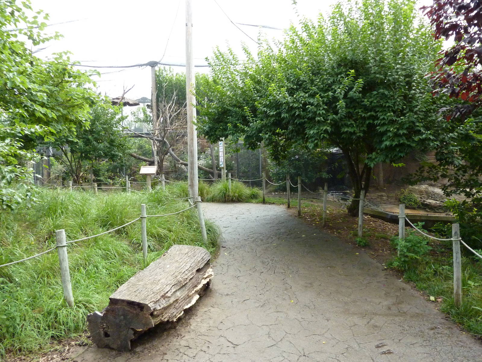 Australia - Walk-Through Aviary