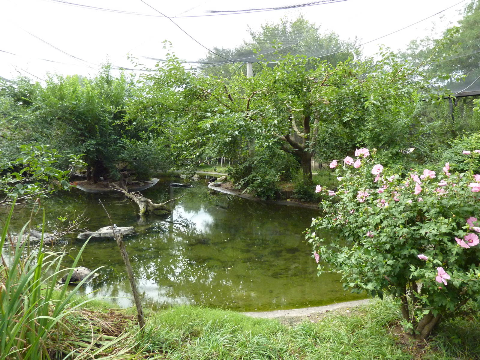 Australia - Walk-Through Aviary