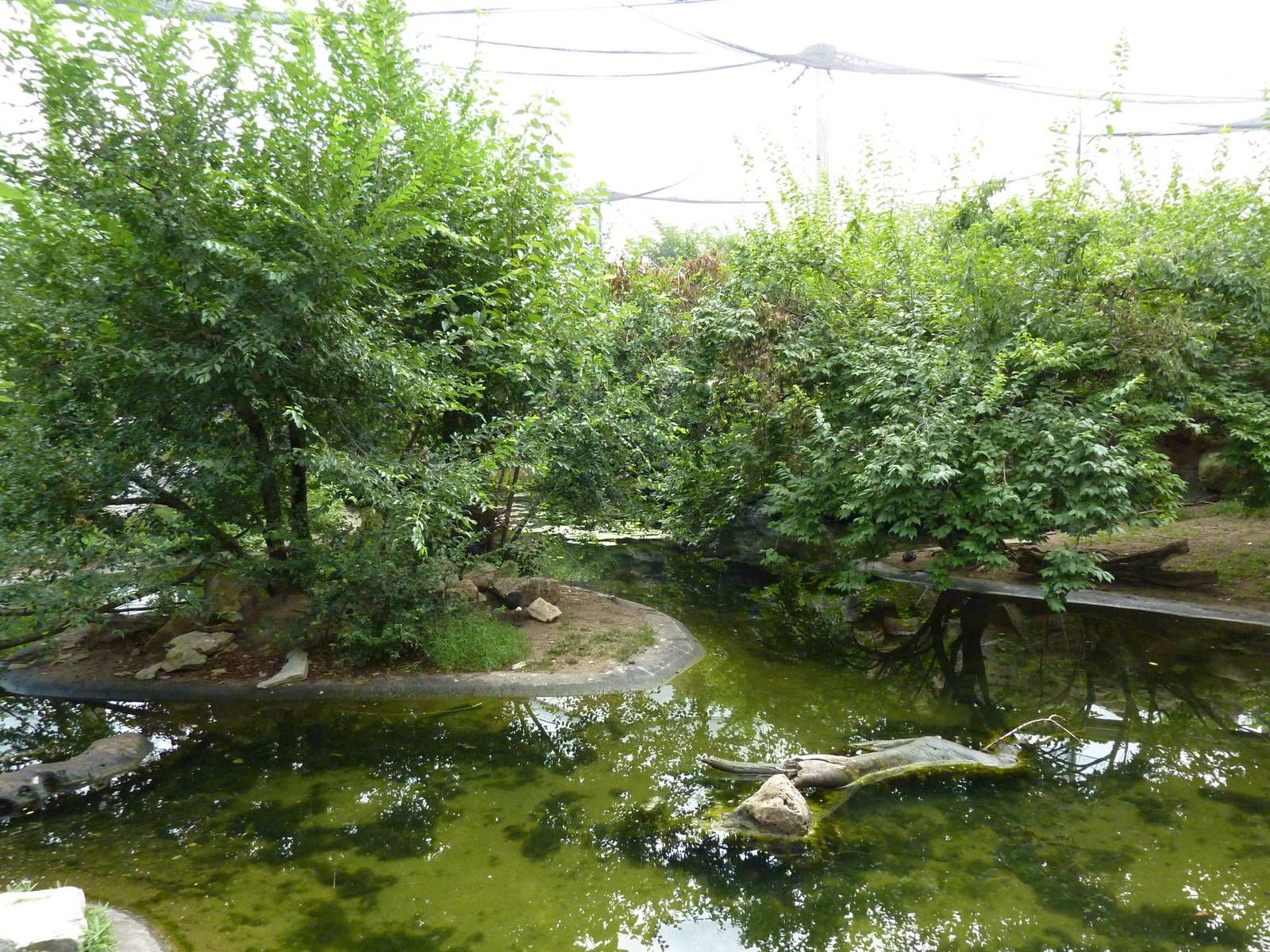 Australia - Walk-Through Aviary