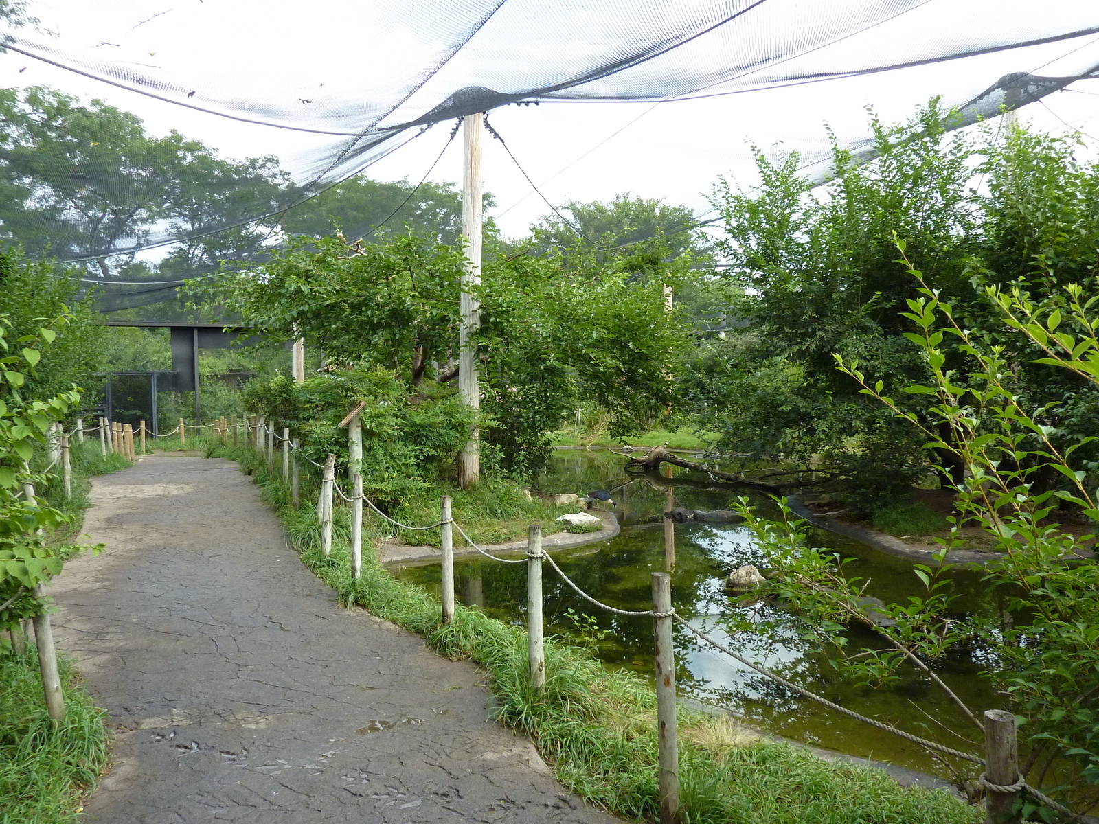 Australia - Walk-Through Aviary
