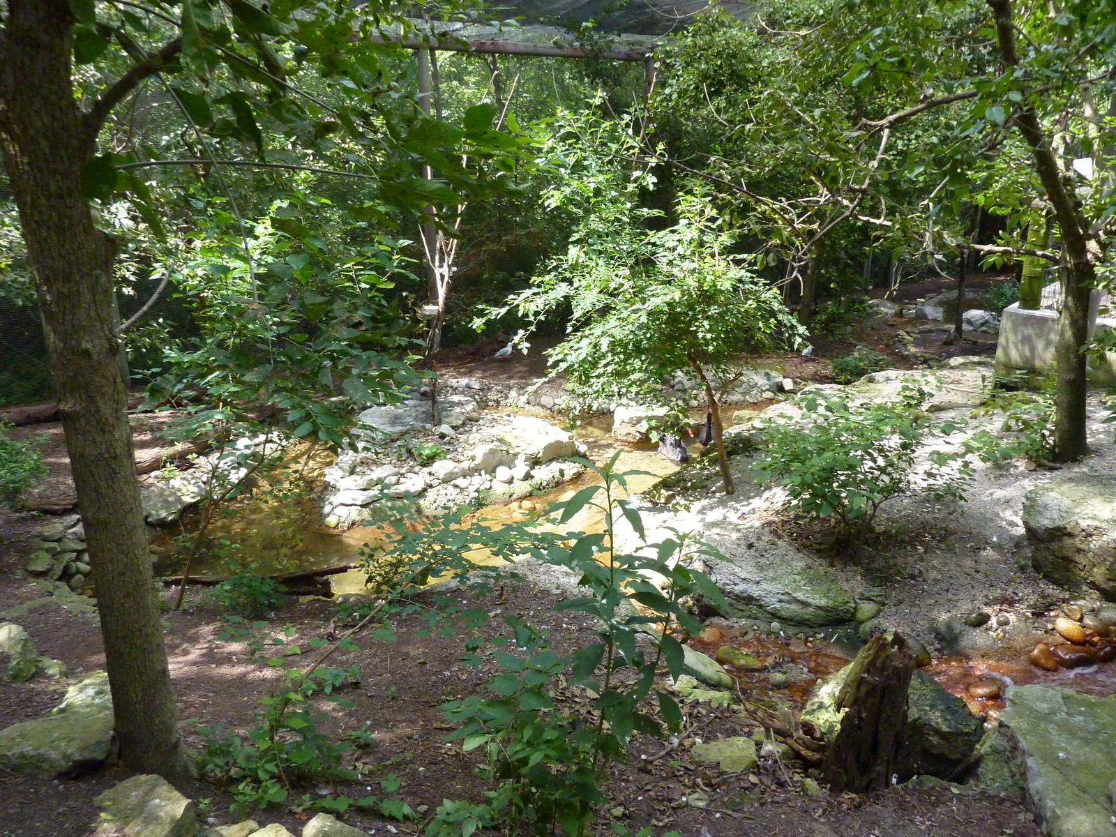 Australia - Walk-Through Aviary